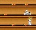 Rabbit race games