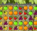 Colored fruits games