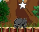 Jumping elephant games