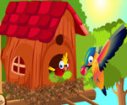 Bird house games