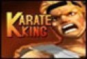 King of karate games