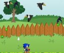 Sonic Bahçede oyunu